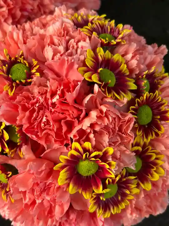 上尾御嶽神社(埼玉県)