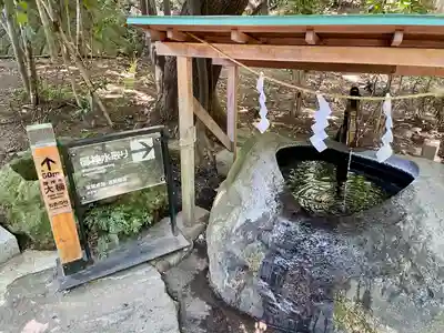 來宮神社(静岡県)