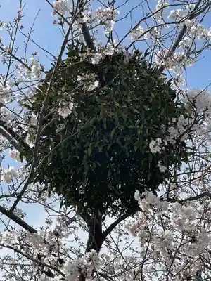 菟足神社(愛知県)