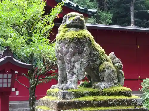 箱根神社の狛犬