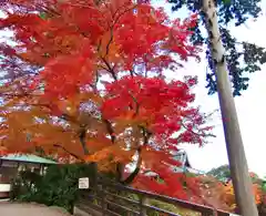 善峯寺(京都府)