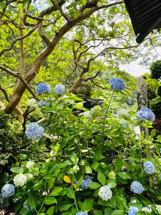 紹楽寺(宮城県)