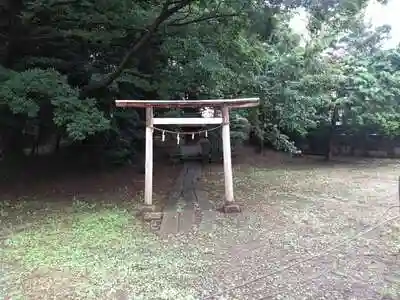 上祖師谷熊野神社・神明社の鳥居