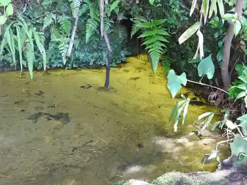 白笹稲荷神社の自然