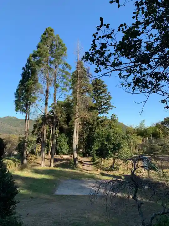 妙喜寺のその他建物