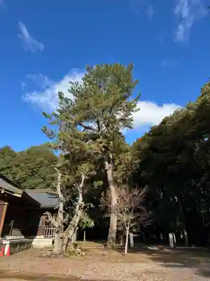 群馬県護国神社(群馬県)
