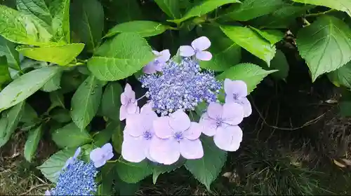 正法寺の自然