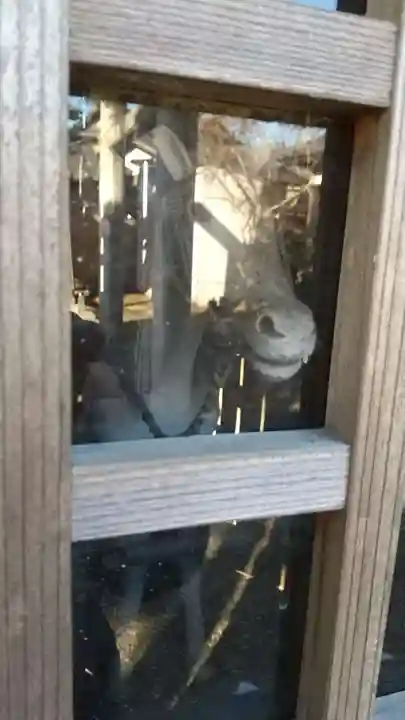 鹿島香取神社(茨城県)