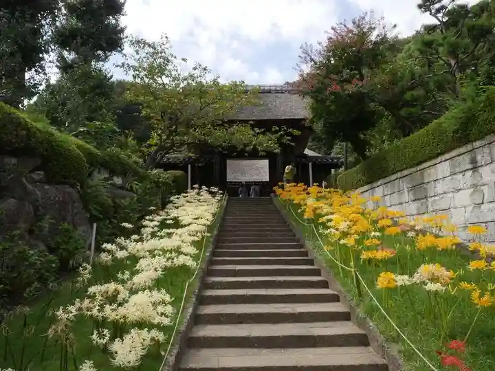 横浜 西方寺の山門・神門
