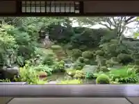 実光院の庭園