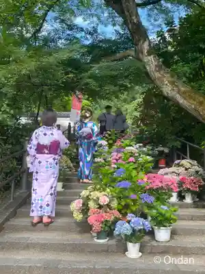 岡寺(龍蓋寺)(奈良県)