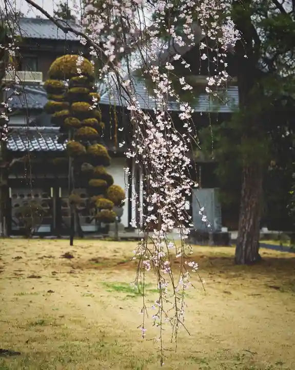 大聖寺(土浦大師不動尊)(茨城県)