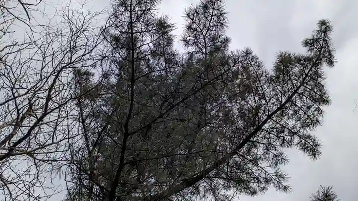 輪西神社の自然