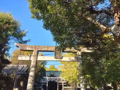 牛嶋神社の鳥居