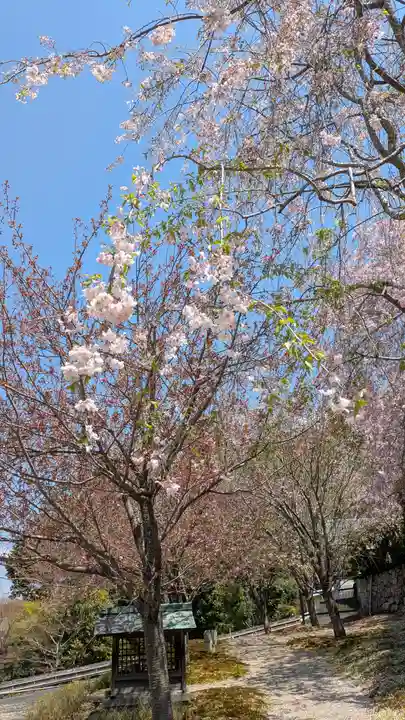 圓光寺(京都府)
