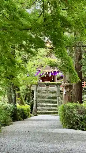 高鴨神社(奈良県)