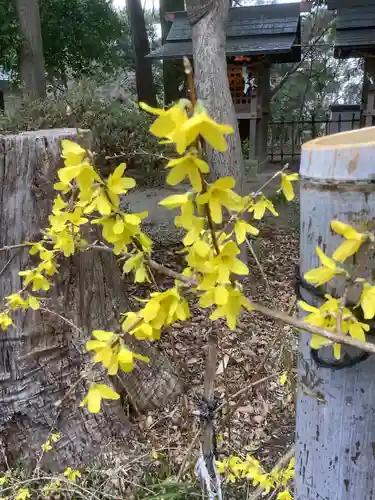 富部神社の自然