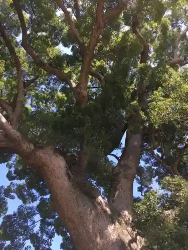 天地神社の自然