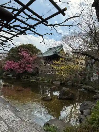 西新井大師総持寺の{uncategorized: "未分類", other: "その他", undefined: "問題あり", building: "その他建物", grave: "お墓", sacred_gate: "鳥居", guardian: "狛犬", statue: "像", buddha: "仏像", history: "歴史", nature: "自然", garden: "庭園", animal: "動物", pagoda: "塔", temizu: "手水舎", mountain_gate: "山門・神門", sanctuary: "本殿・本堂", subordinate: "末社・摂社", art: "芸術", scenery: "景色", jizo: "地蔵", ema: "絵馬", goshuin: "御朱印", omikuji: "おみくじ", items: "授与品その他", amulet: "お守り", goshuincho: "御朱印帳", eats: "食事", festival: "お祭り", votive_dance: "神楽", shichigosan: "七五三参", wedding: "結婚式", experience: "体験その他", initially: "初詣", around: "周辺", anti_infection: "感染症対策"}