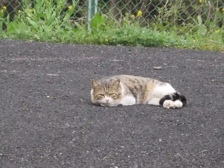 聖神社(埼玉県)