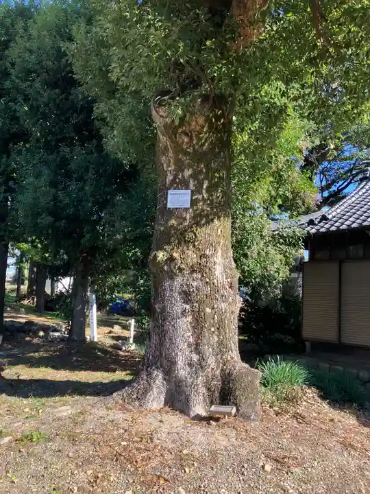鳴海杻神社(愛知県)