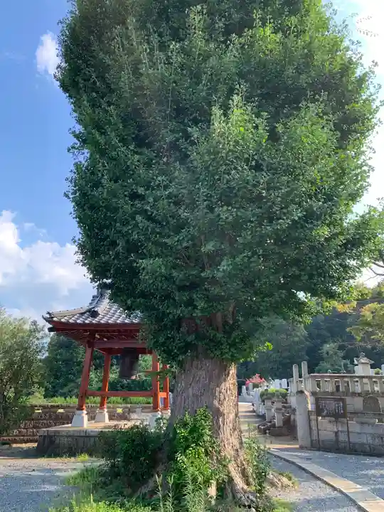 不動院(茨城県)