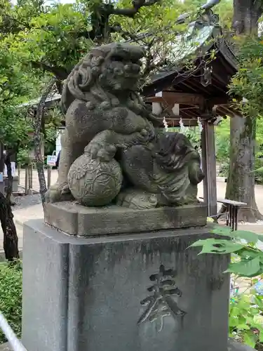 鳩森八幡神社の狛犬