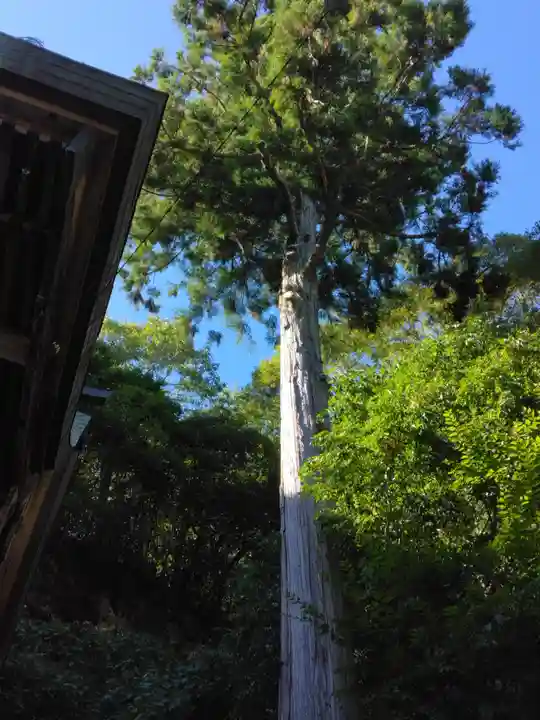 山王神社のその他建物