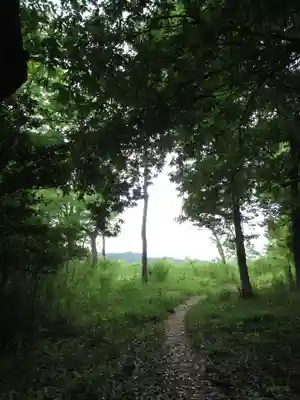 賀茂別雷神社(栃木県)