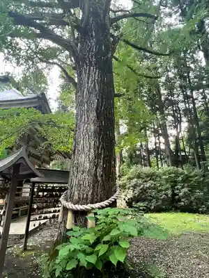 西光寺(宮城県)