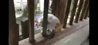 長等神社の動物