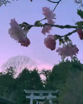 滑川神社 - 仕事と子どもの守り神(福島県)