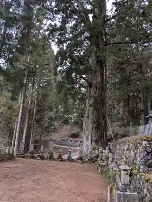 高野山金剛峯寺奥の院(和歌山県)