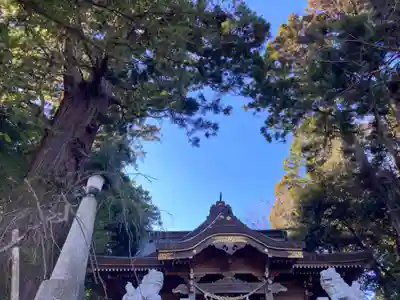 艫神社(茨城県)