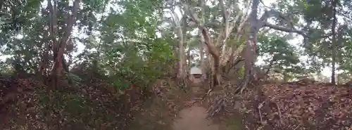塩釜神社の自然