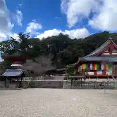 金剛寺(大阪府)