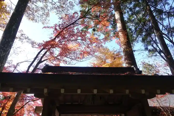 三千院門跡の自然
