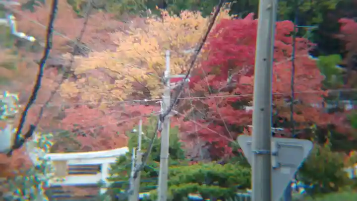 宗忠神社の自然