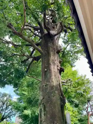 円光院(東京都)