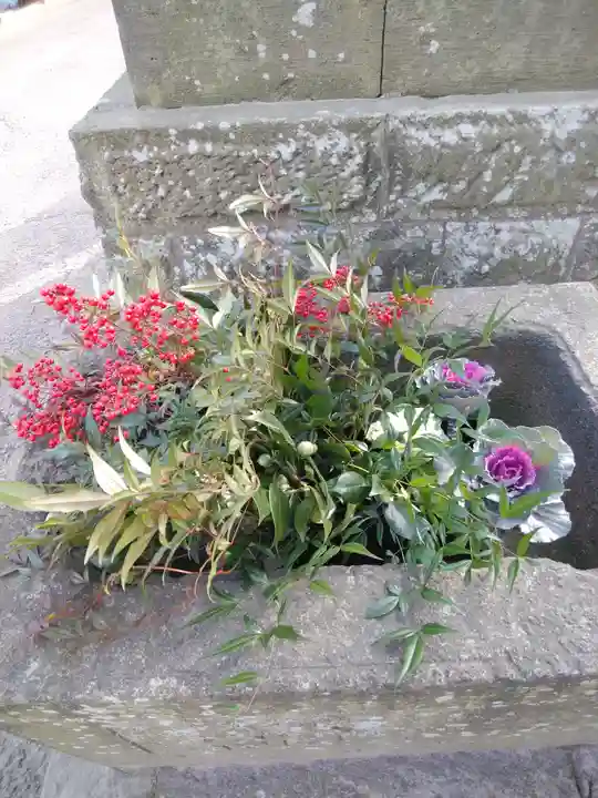 熊野福藏神社の自然