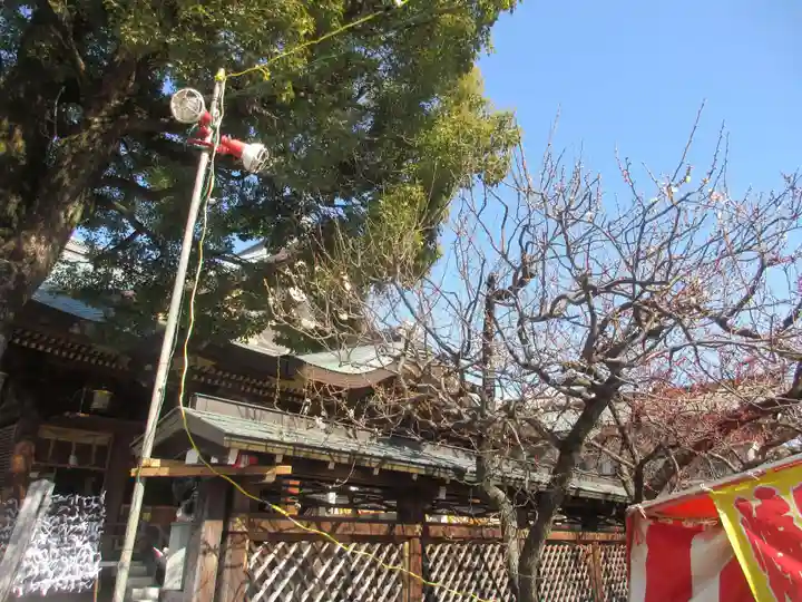 湯島天満宮(東京都)