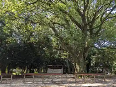 伊多波刀神社(愛知県)