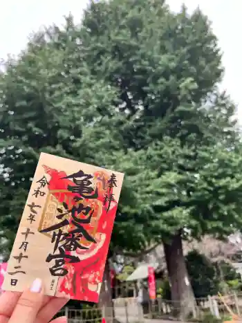 亀ケ池八幡宮の御朱印 2025年10月