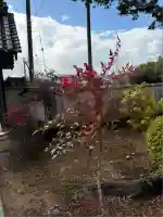 青原寺(兵庫県)