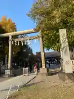 浅草神社の鳥居