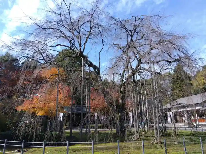 足羽神社(福井県)