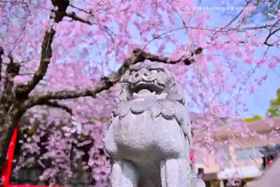 米之宮浅間神社(静岡県)
