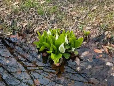 鹿島大神宮(福島県)