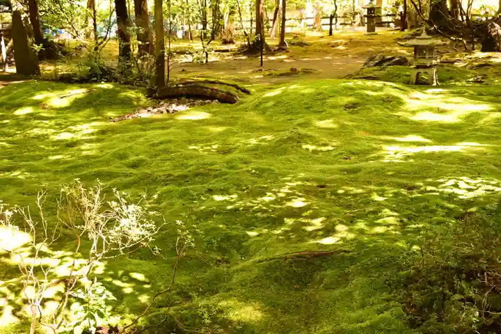 野宮神社(京都府)
