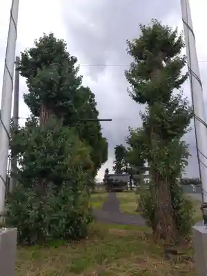 白山神社(山王神社)(福井県)